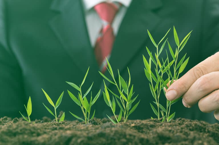 Outlook For The Global Green Bond Market Outlook For The Global Green Bond Market