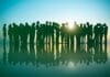 social bonds