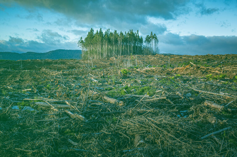 Federated Hermes Launches Climate Change-Focussed Strategy