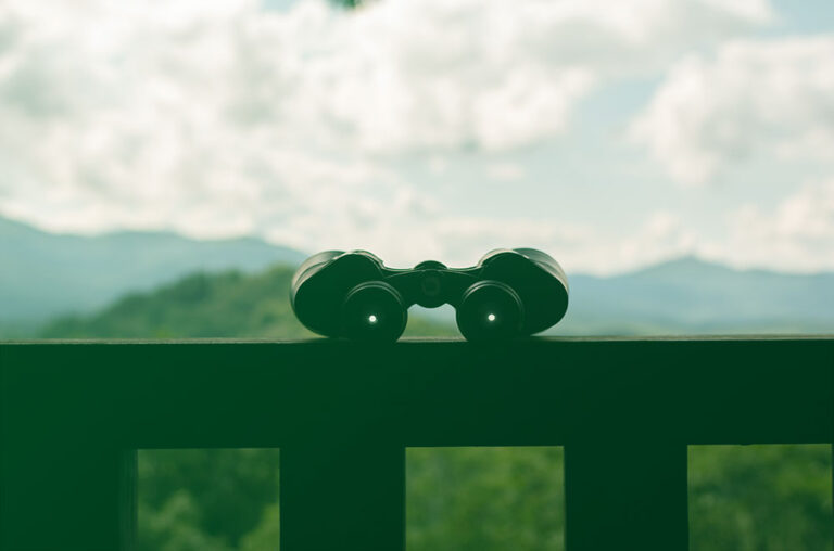 Finding Fixed Income Balance Critical For Portfolios Finding Fixed Income Balance Critical For Portfolios