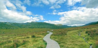 University of Tasmania Green Bond
