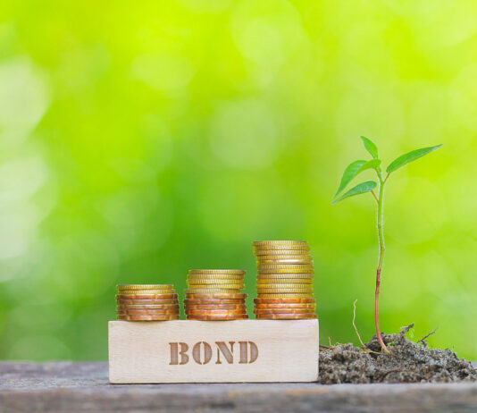 sustainability linked bond