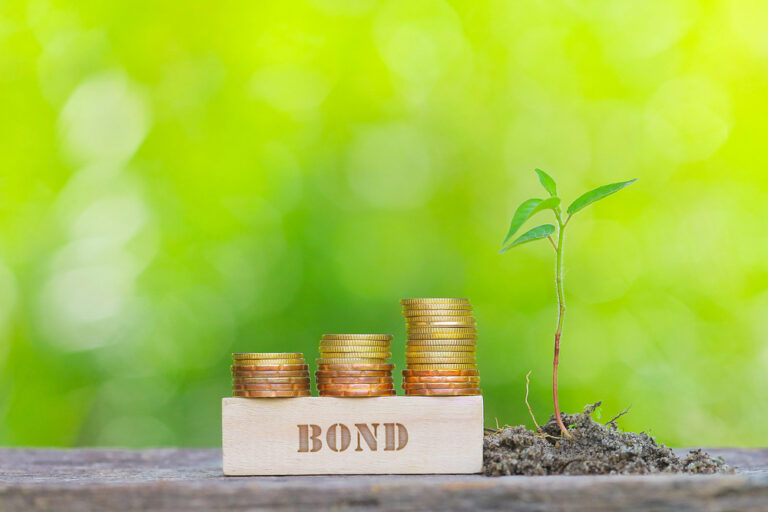 An Introduction to Sustainability Linked Bonds