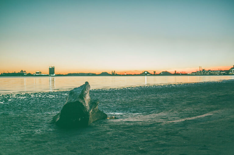 Receding Tide Reveals The Best Opportunities For Active Managers Receding Tide Reveals The Best Opportunities For Active Managers