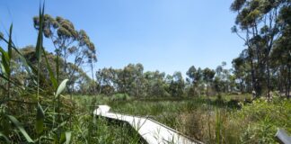 la trobe university bond