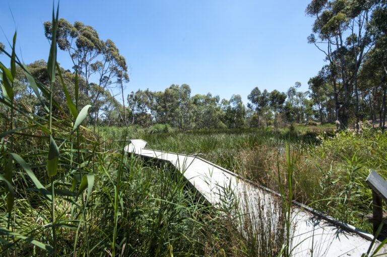 La Trobe University Launches First Green Bond