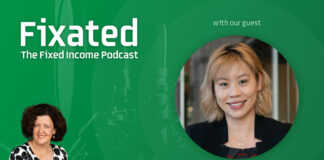 PODCAST: High Yield and Emerging Market Bonds with Amy Xie Patrick from Pendal