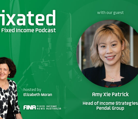 PODCAST: High Yield and Emerging Market Bonds with Amy Xie Patrick from Pendal