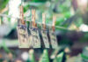 spire capital