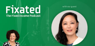 PODCAST: Is 2024 the year of the bond? with Janu Chan from Bite-Sized Economics