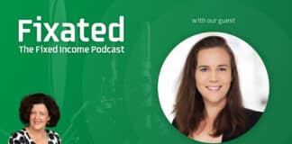 PODCAST: The Yield Adds Up – ABS and RMBS with Lauren Ryan from Thinktank