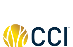 Coolabah Capital Investments (CCI)