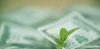 green bond issuance