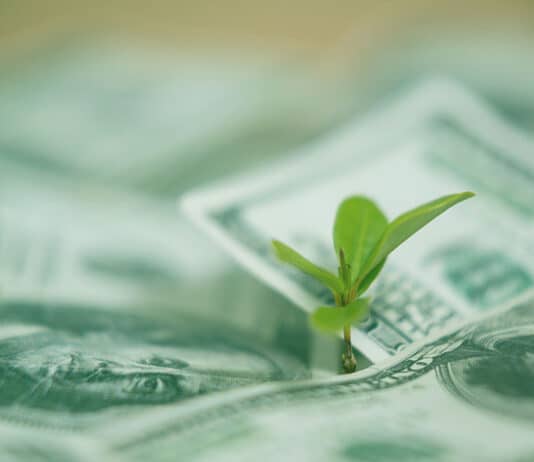 green bond issuance