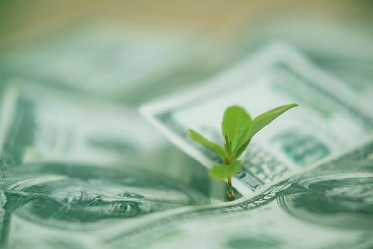 Green Bond Issuance To Hit Record US$600 Billion in 2025