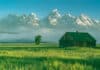 jackson hole