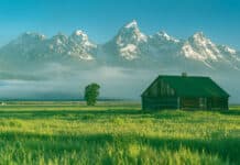 jackson hole