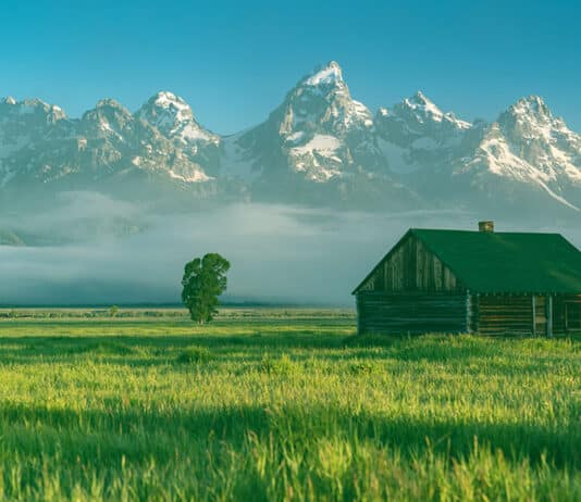 jackson hole