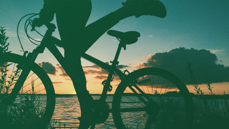 The End of the Easing Cycle… Maybe? The End of the Easing Cycle… Maybe?