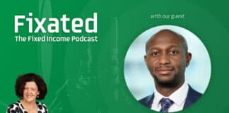 PODCAST: Go local or look overseas? with Clive Maguchu from State Street