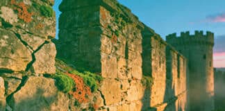 Monetary Policy Should Bolster Markets