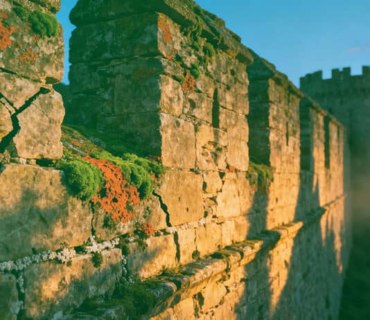 Monetary Policy Should Bolster Markets