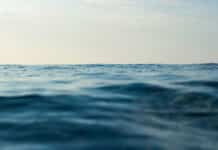 Unlocking Blue Finance: A Commonwealth Guide to Blue Bond Issuance