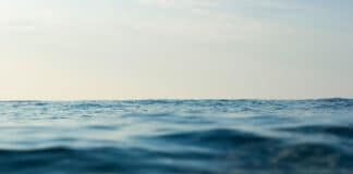 Unlocking Blue Finance: A Commonwealth Guide to Blue Bond Issuance