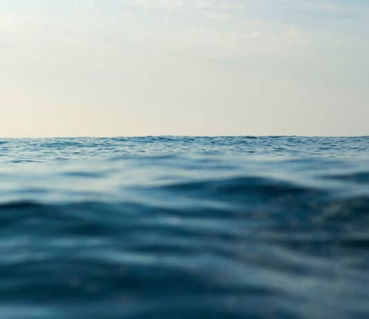 Unlocking Blue Finance: A Commonwealth Guide to Blue Bond Issuance