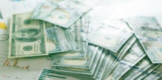 Public versus Private Debt