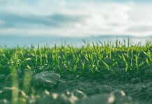 Volatility Providing Fertile Ground In Active Credit