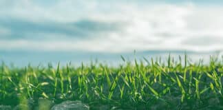 Volatility Providing Fertile Ground In Active Credit