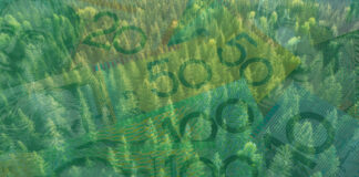 ASFI Releases Guidance To Support Taxonomy-Aligned Debt Issuance