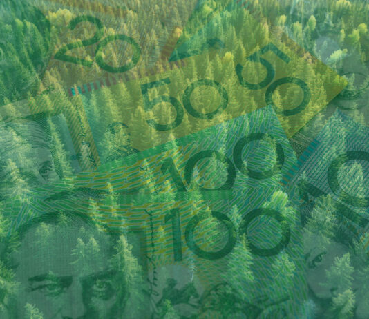 ASFI Releases Guidance To Support Taxonomy-Aligned Debt Issuance