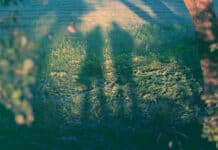 The Real Risks Lurk in the Shadows