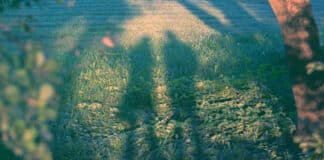 The Real Risks Lurk in the Shadows