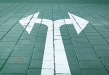 Fixed Income Resilience and Equity Market Divergence