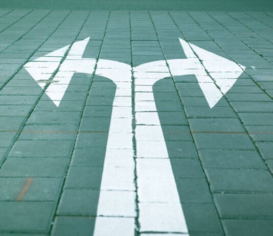 Fixed Income Resilience and Equity Market Divergence