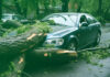 Australian Insurers Stay Disciplined On Risk While Reassessing Asset Allocation