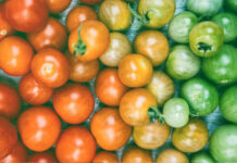 Which Yield Is Best?