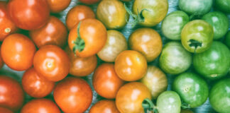 Which Yield Is Best?