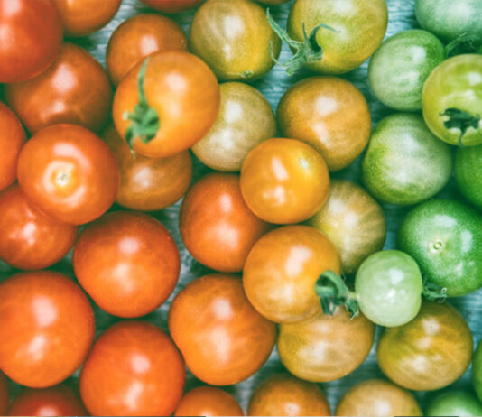 Which Yield Is Best?