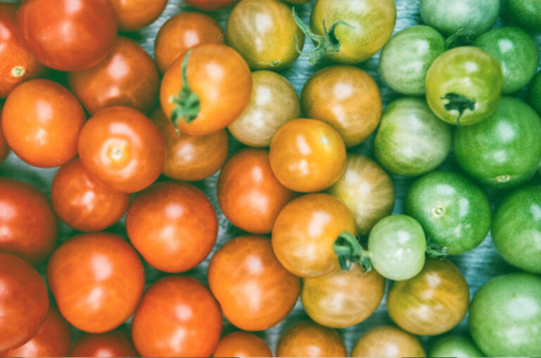 Which Yield Is Best?