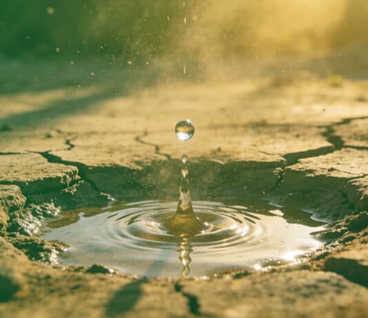 The Great Income Drought May Be Over With Bonds Back On The Investment Menu