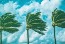 The Questions That Fixed Income Desks Need to Ask as Private Credit Hits Headwinds