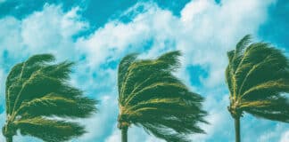 The Questions That Fixed Income Desks Need to Ask as Private Credit Hits Headwinds