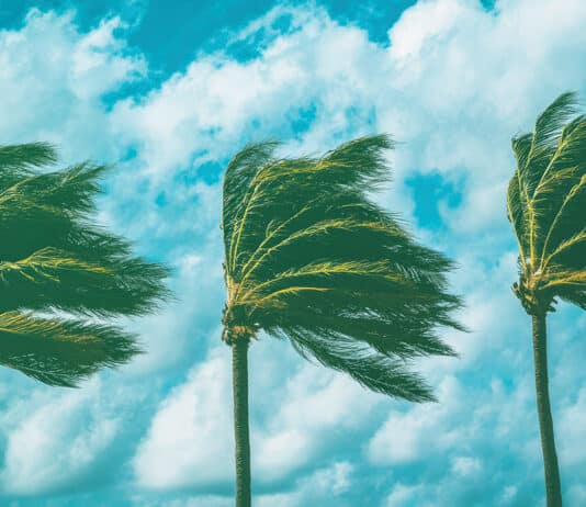 The Questions That Fixed Income Desks Need to Ask as Private Credit Hits Headwinds