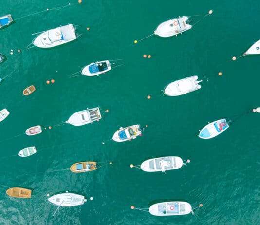 Seeking Safe Harbour