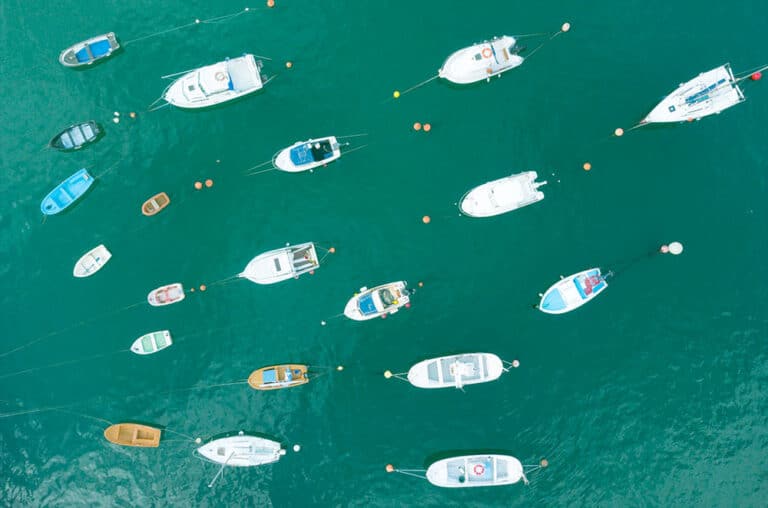 Seeking Safe Harbour